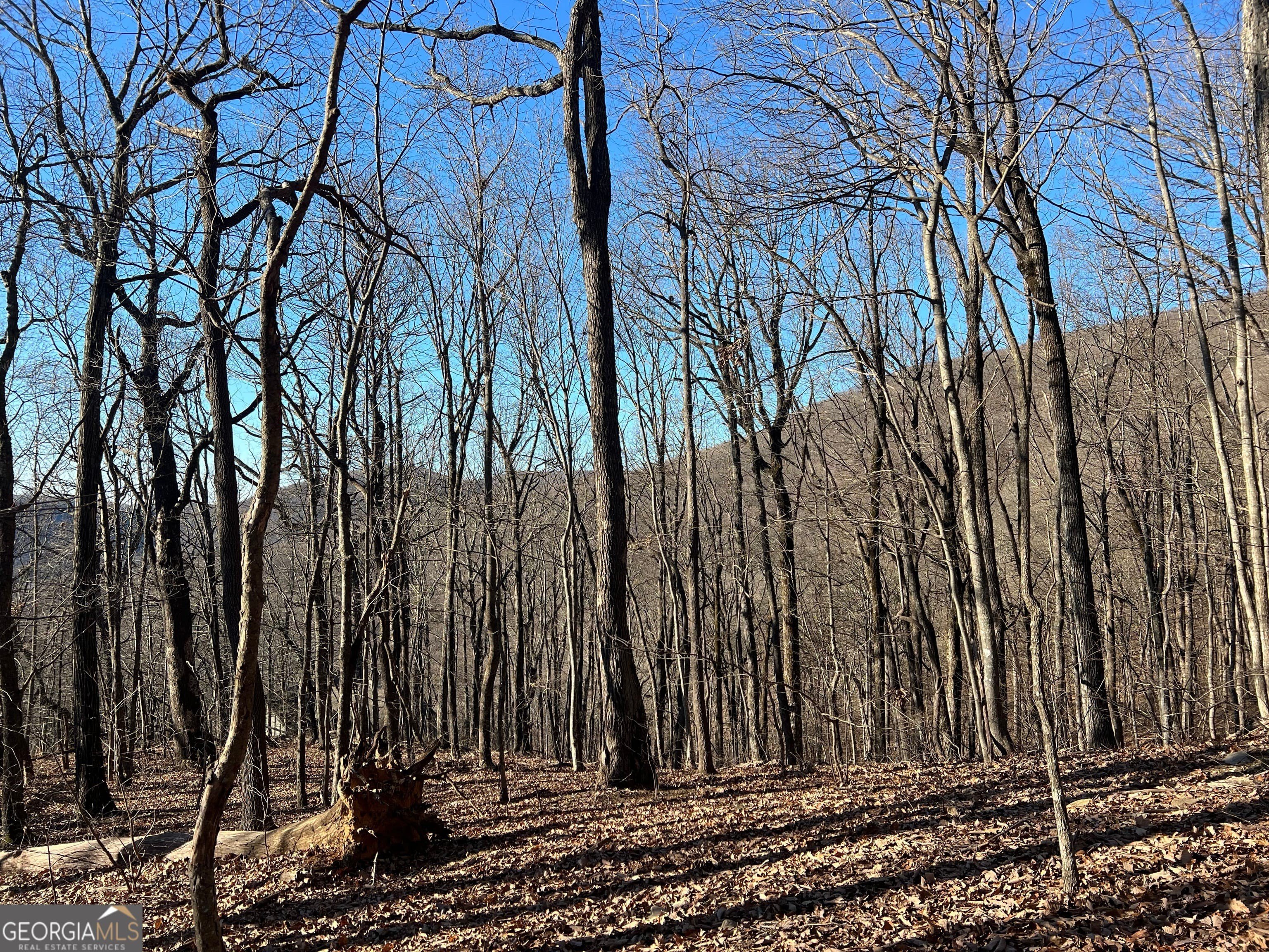Acre Lot in Bent Tree