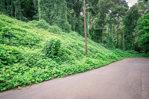 Land, Chattanooga, TN