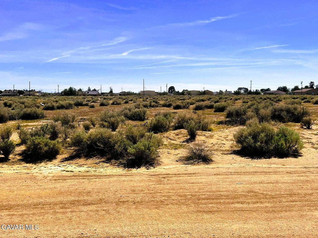 Picture 6