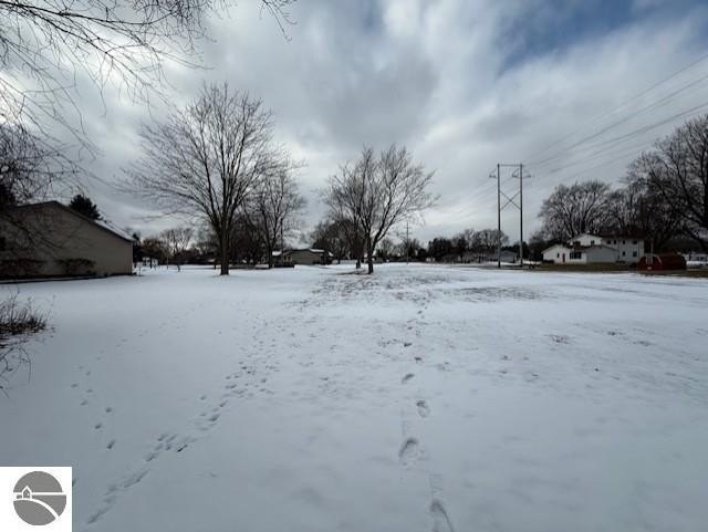 Picture 5