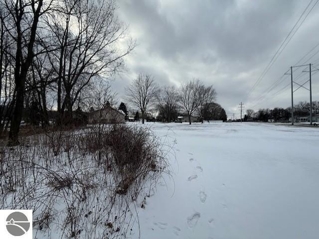 Picture 7