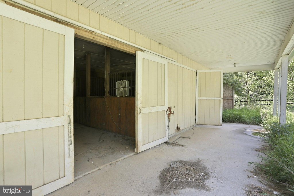 Picture 7