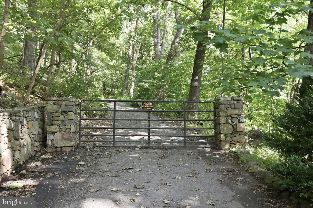 Picture 24
