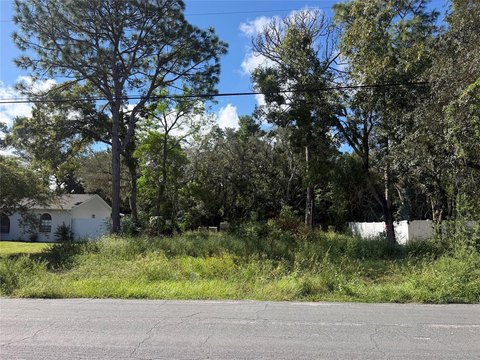 Land, SPRING HILL, FL