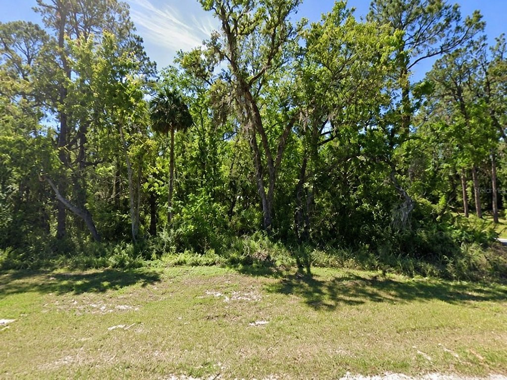 Picture 8