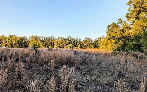 Live Oak Agricultural Land Available