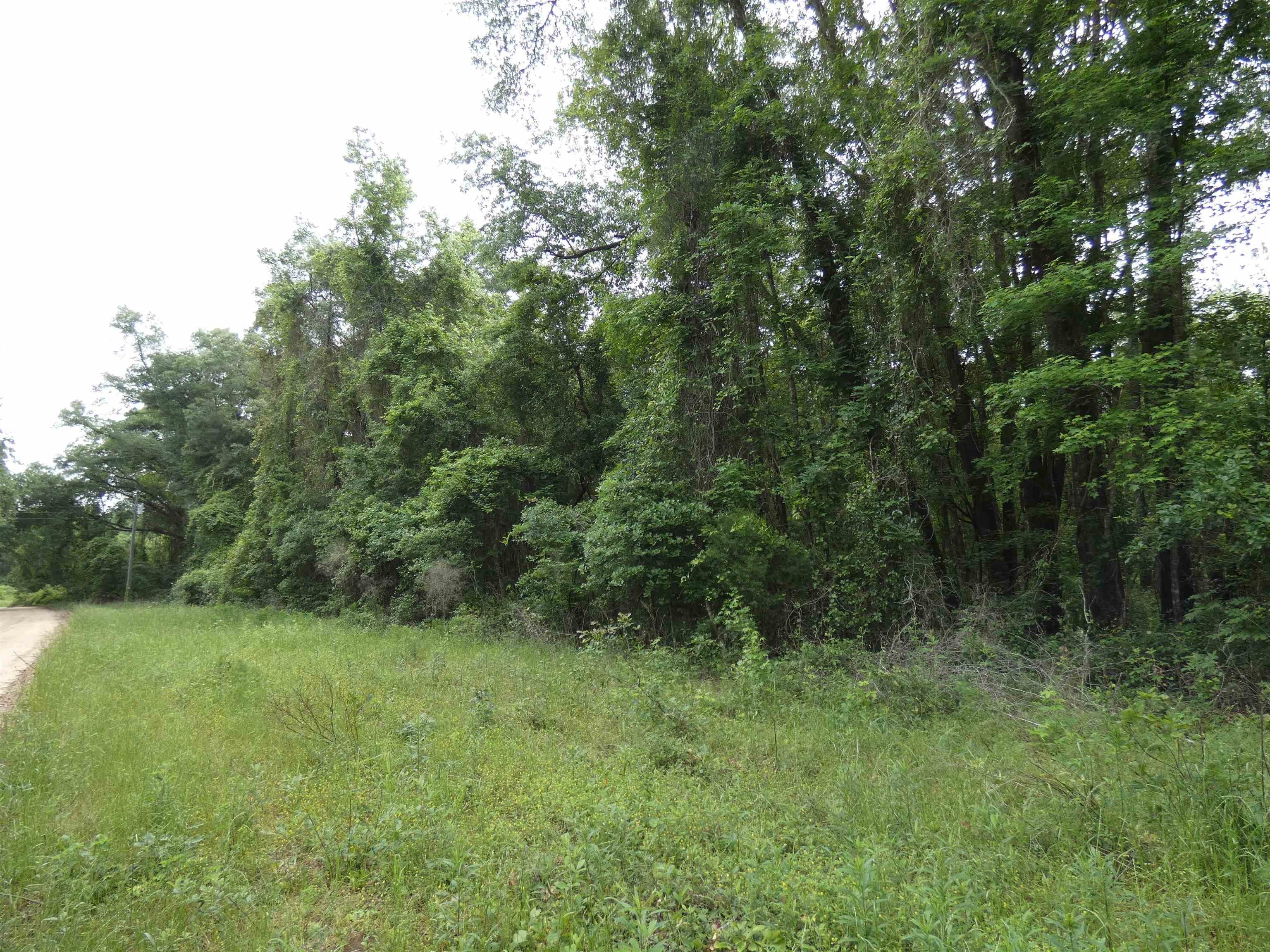 10.2 Acres Wooded Land