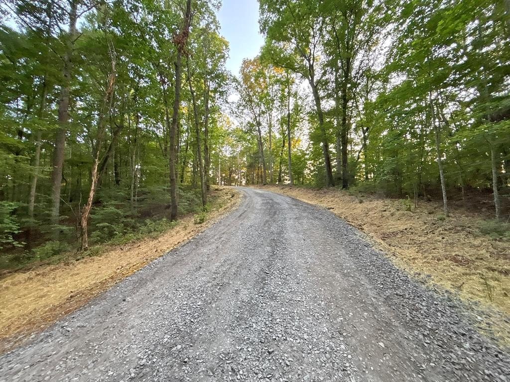 Picture 20