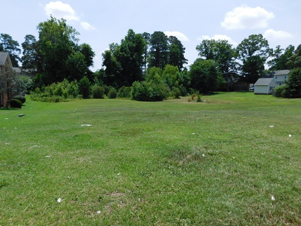 Picture 3
