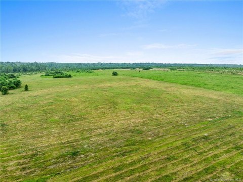Partially Cleared Agricultural Land