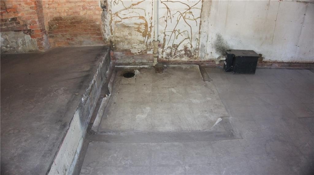 Picture 16