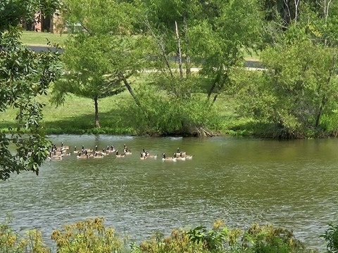 Waterfront Lots in Redwater, TX