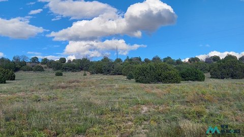 Land, Quemado, NM