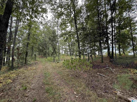 LAND/LOTS, BESSEMER, AL