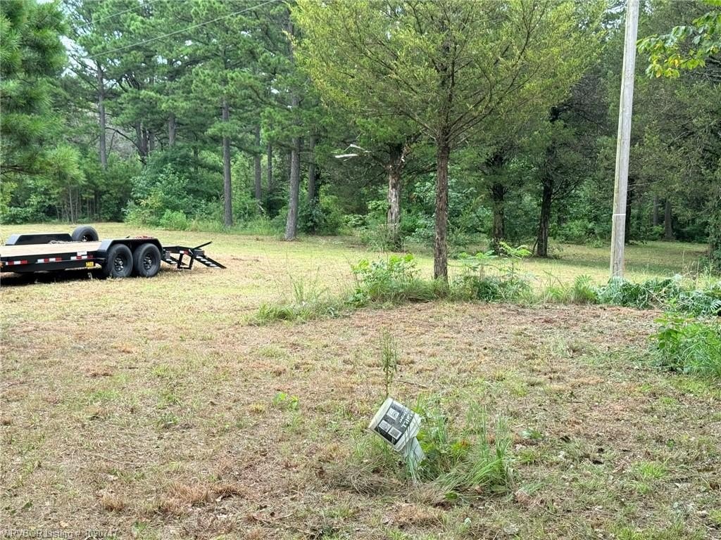 Picture 5