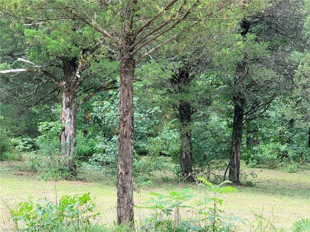 Picture 15