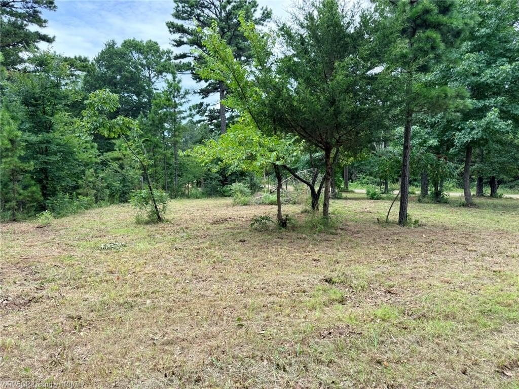 Picture 14