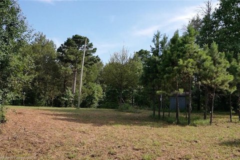 LAND - Cecil, AR