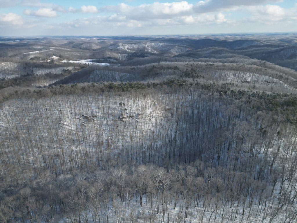Picture 12