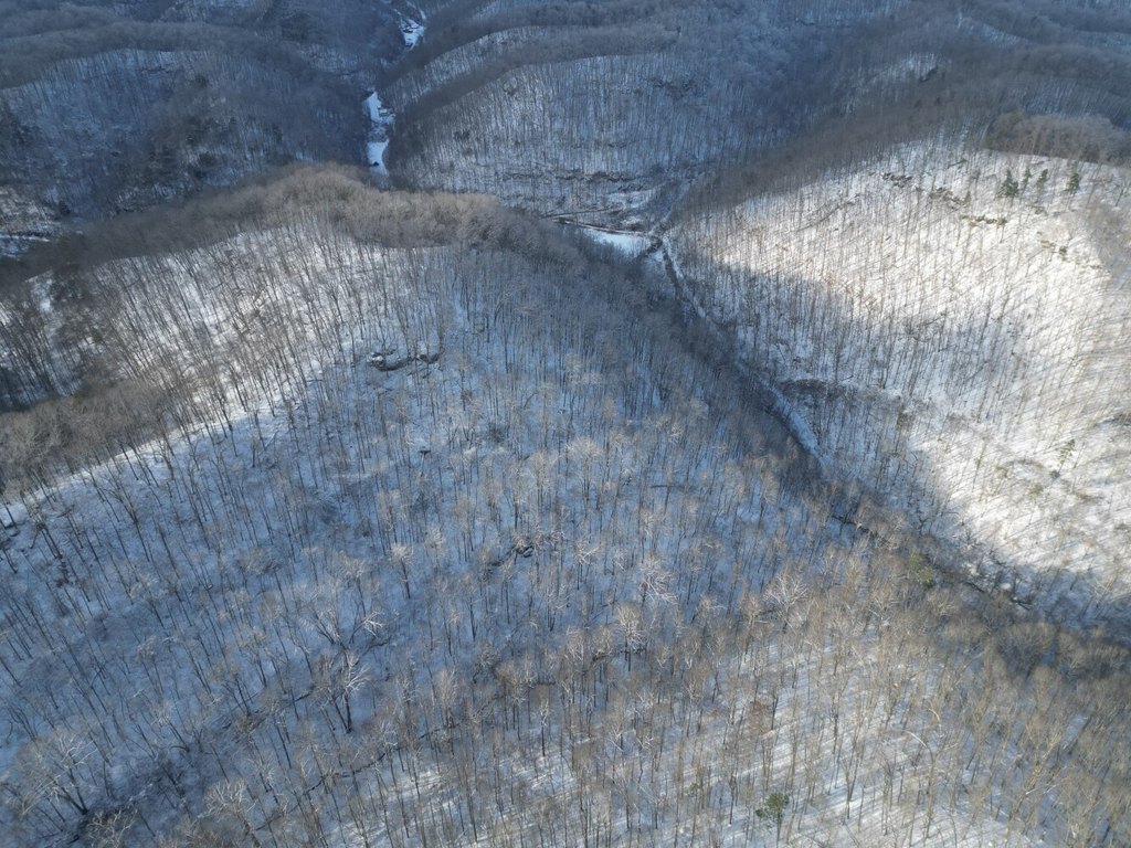Picture 13
