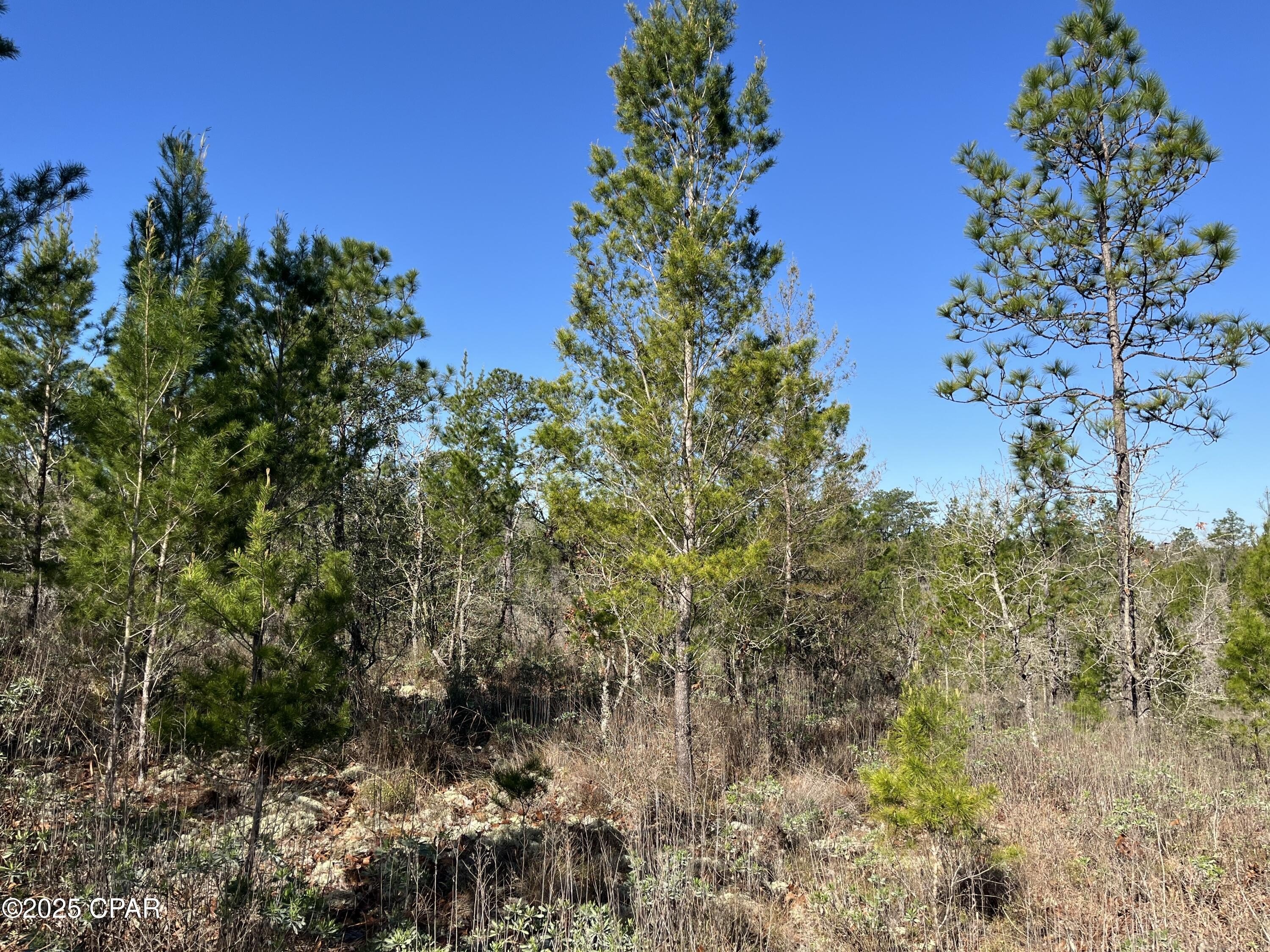 Oversized Building Lot in Sunny Hills