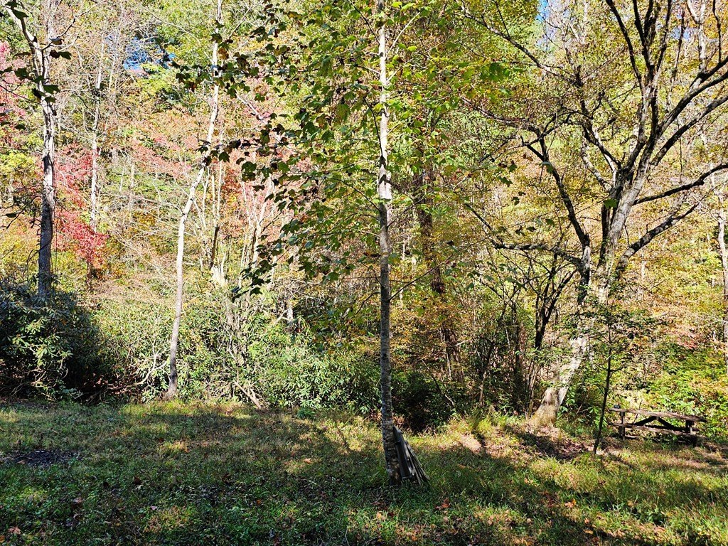 Picture 7