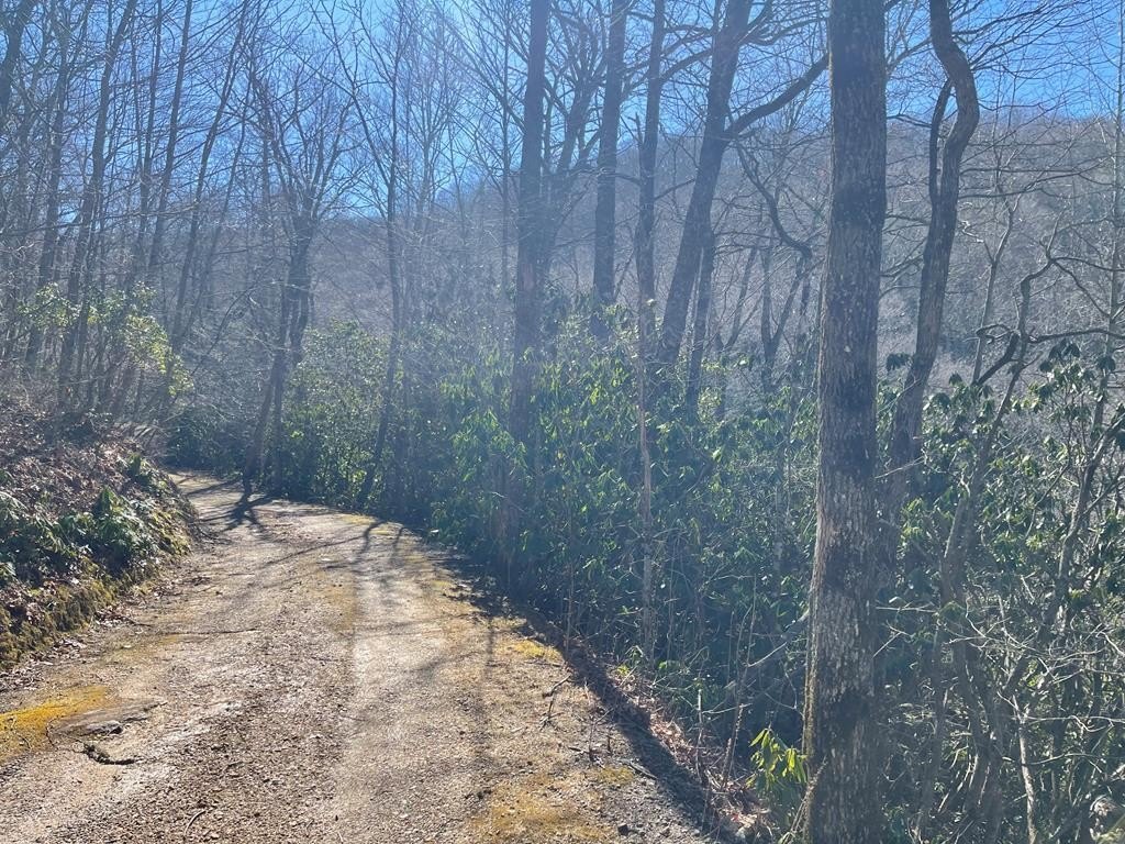 13.91 Acres in Cullowhee, NC