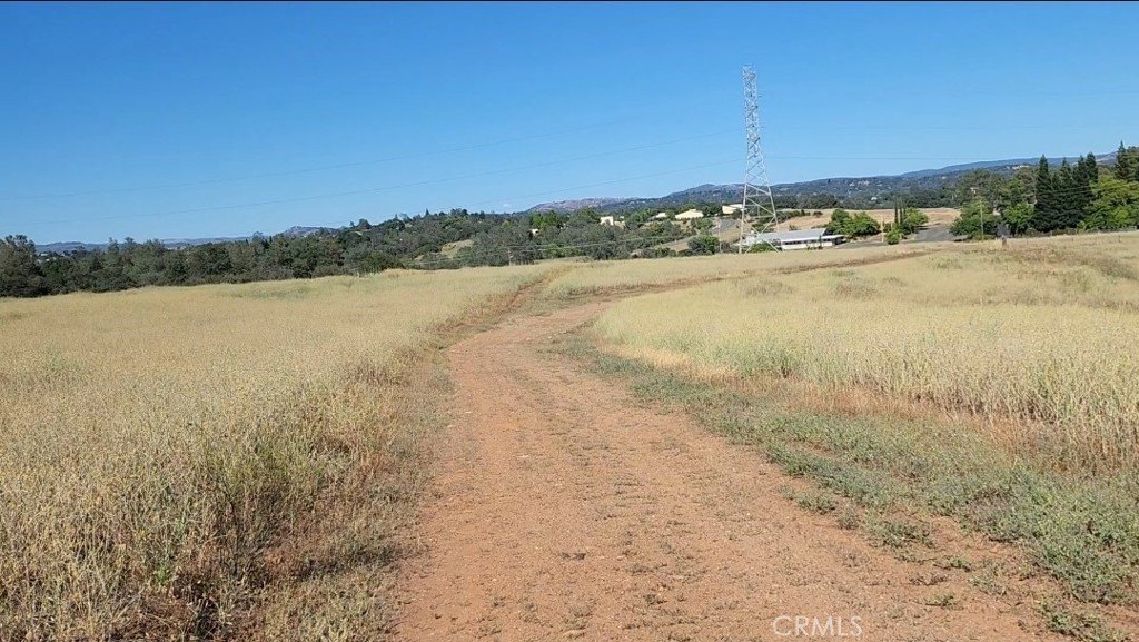 Picture 21