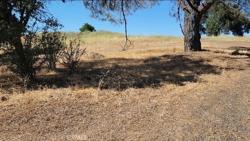 Picture 34