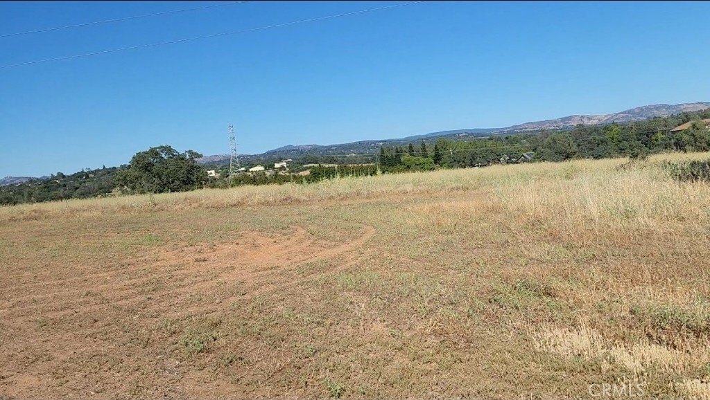 Picture 43