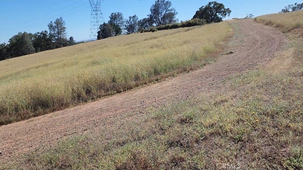 Picture 15