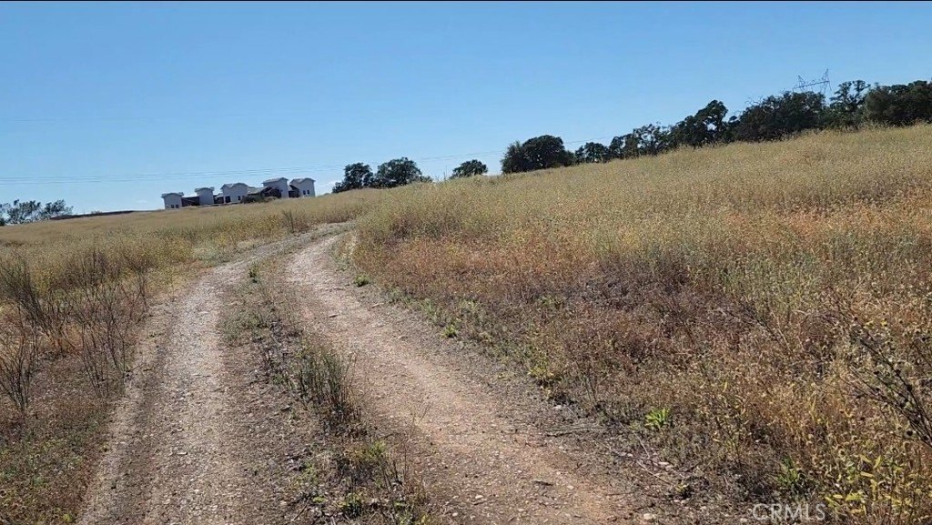 Picture 10
