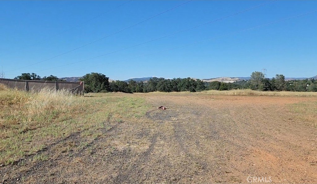 Picture 46