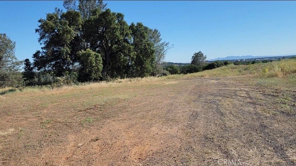 Picture 25