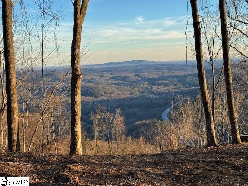 Mountain View Homesite in Cliffs