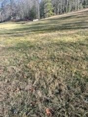 Land with Creek Access