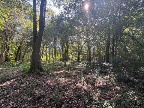 Thomasville Land Inside City Limits