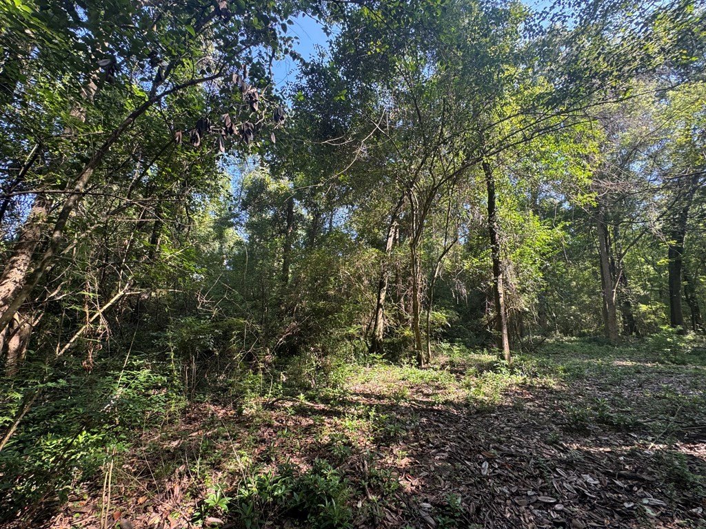 Picture 19