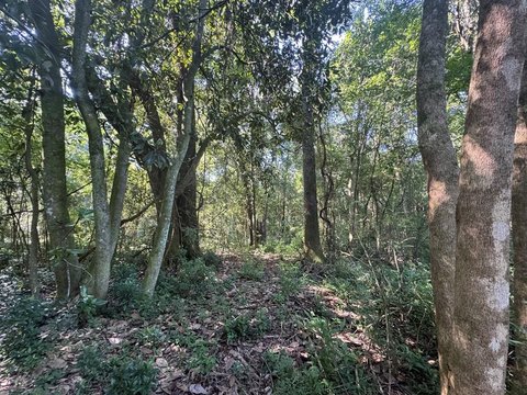 Thomasville Acreage with Development Potential