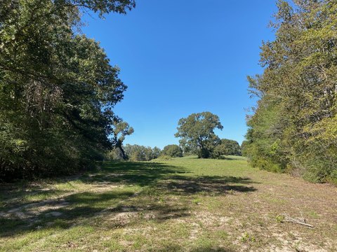Ranch Land with Road Frontage