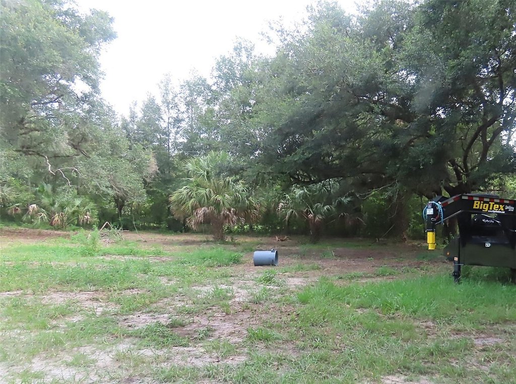 Picture 7