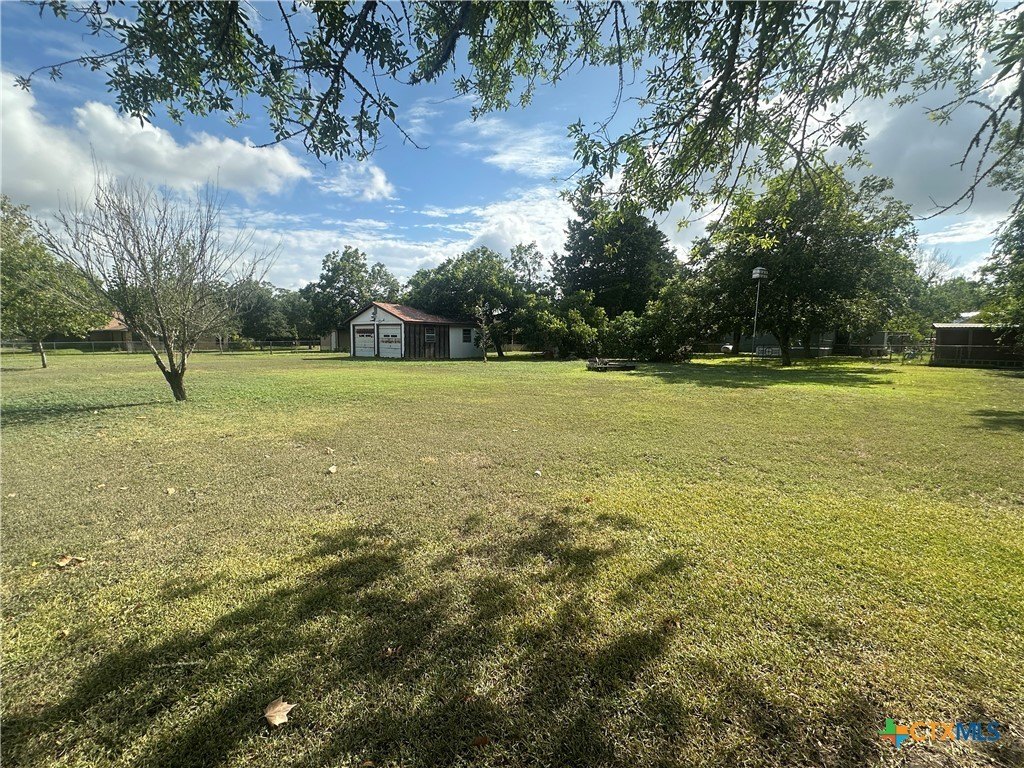 Picture 6