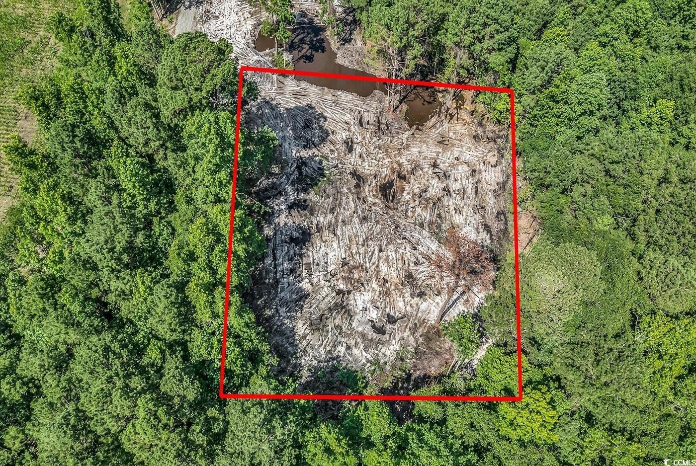 Cleared Land For Sale, Loris