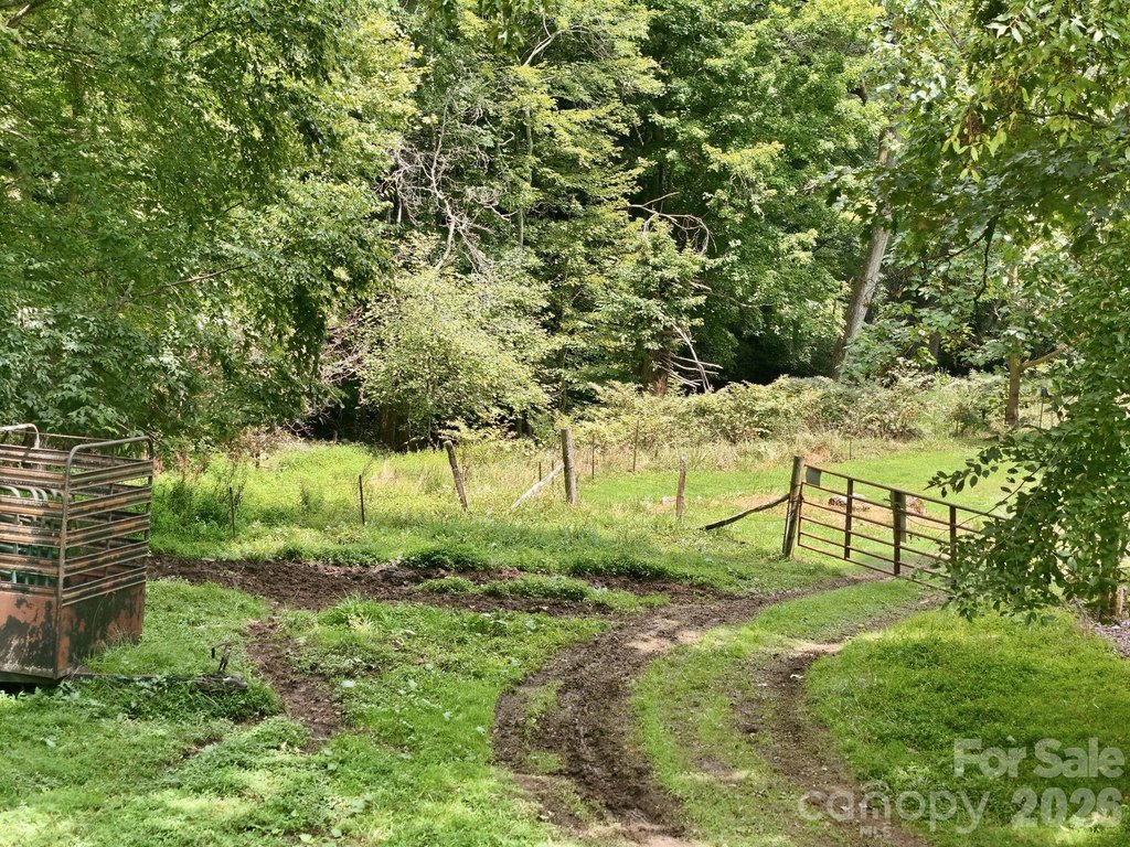 Picture 11