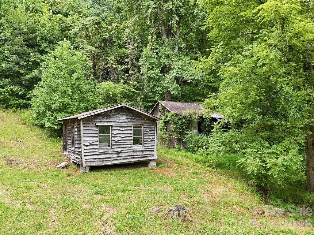 Picture 8