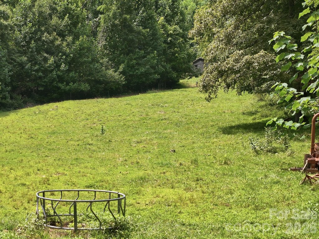 Picture 14
