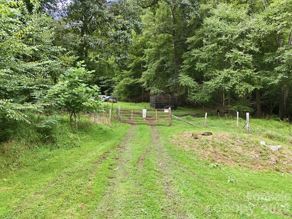 Picture 7
