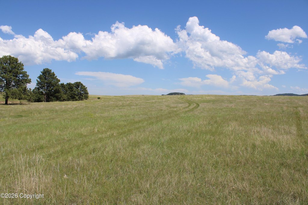 Picture 31
