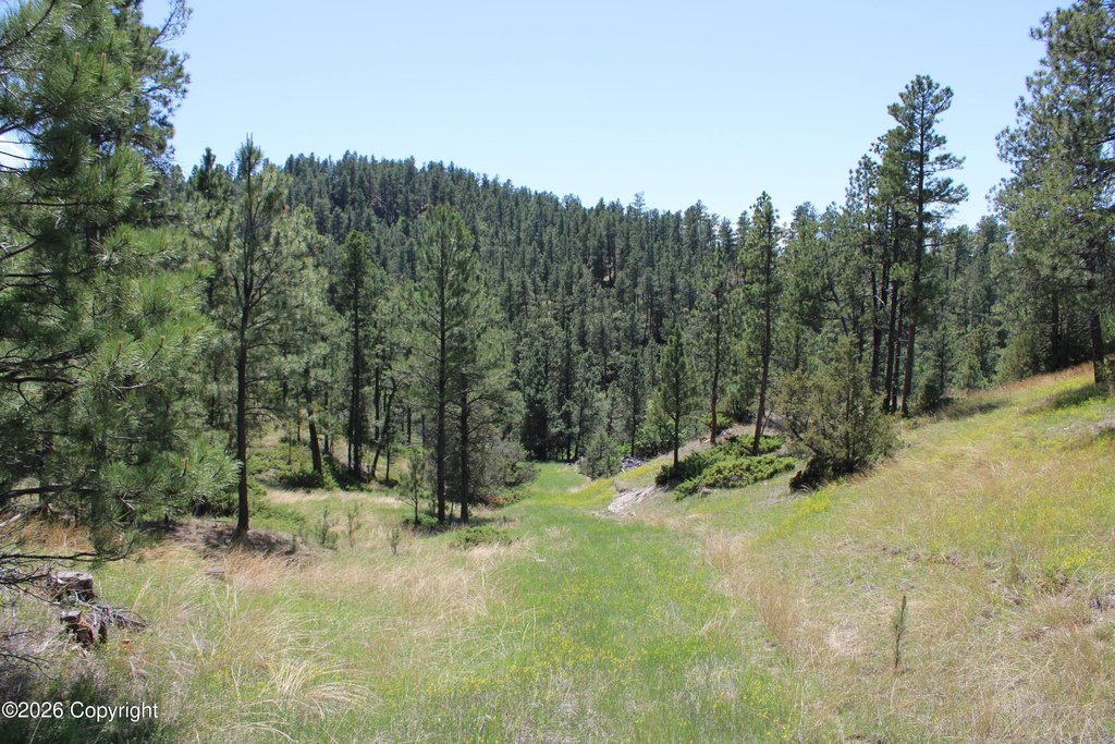 Picture 25