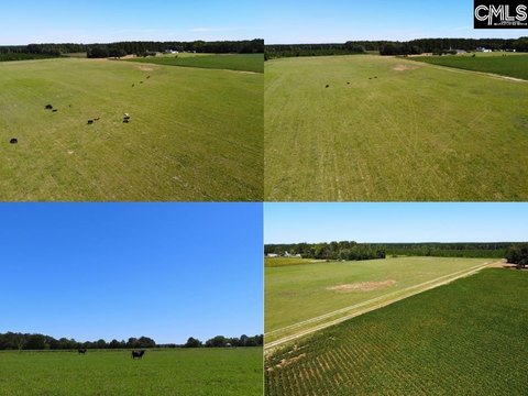 LOTS AND ACREAGE, Hartsville, SC
